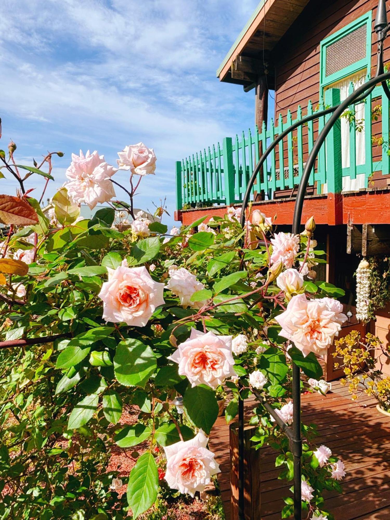The Goat And Goose Bed & Breakfast レイクス・エントランス エクステリア 写真